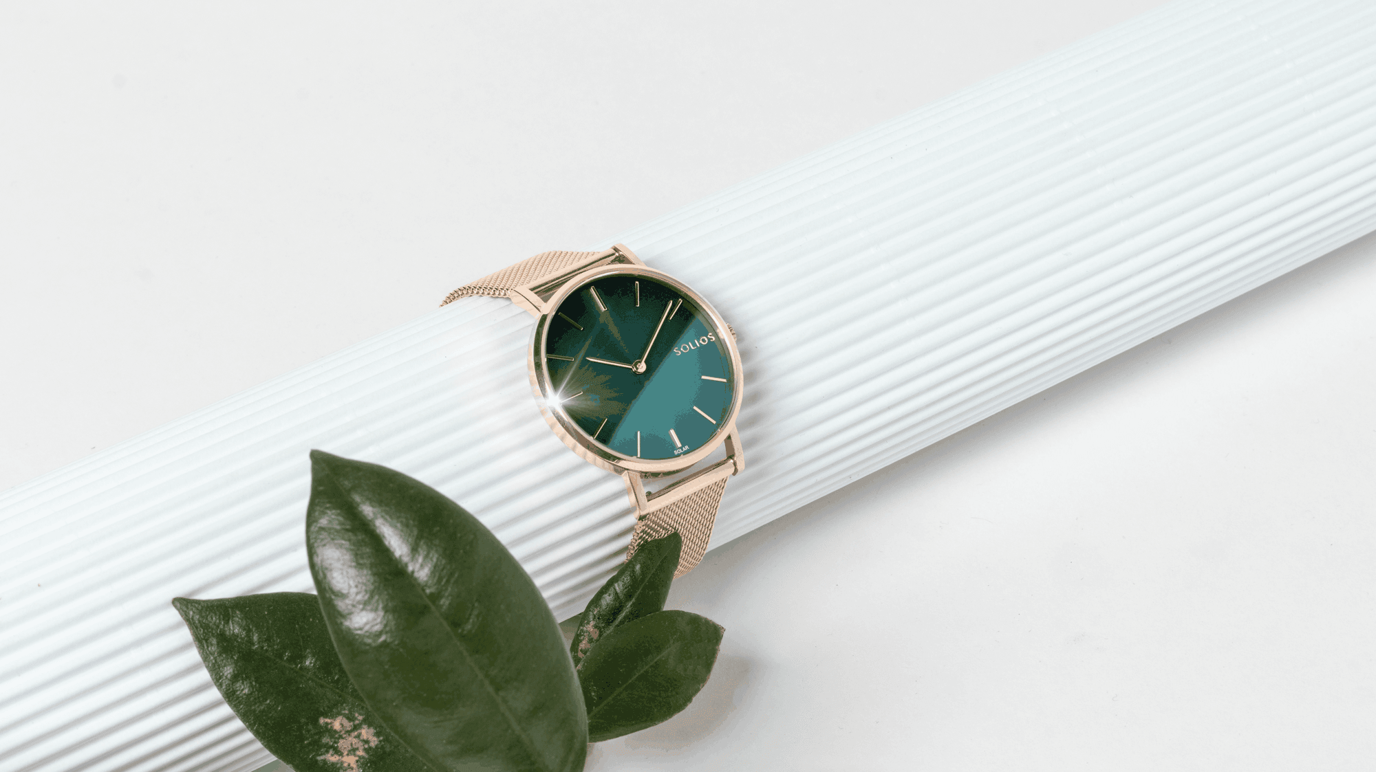 Rainforest Trust Special Edition : our trendiest and most impactful watch ever